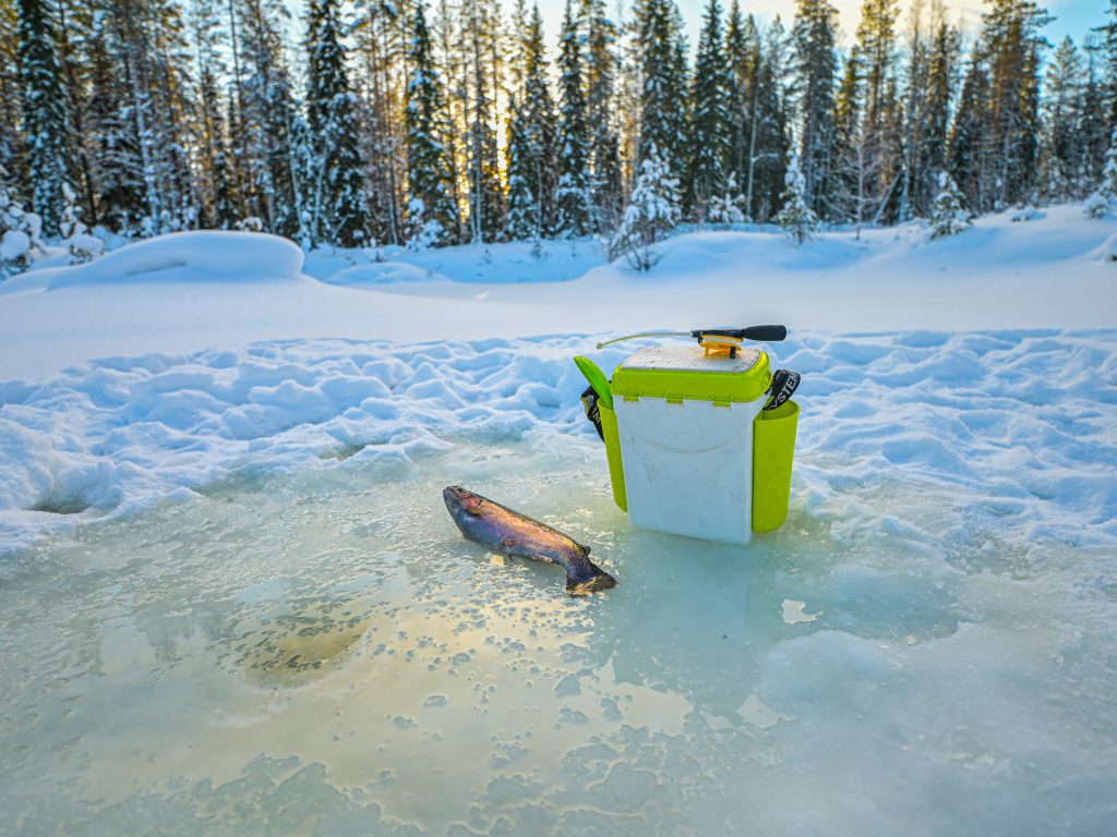 Salmon-Ice-fishing